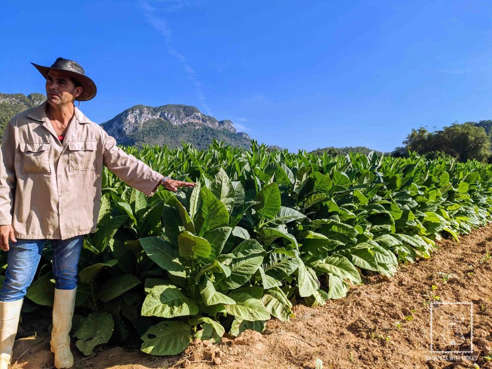 IMG_20200127_100156_MP