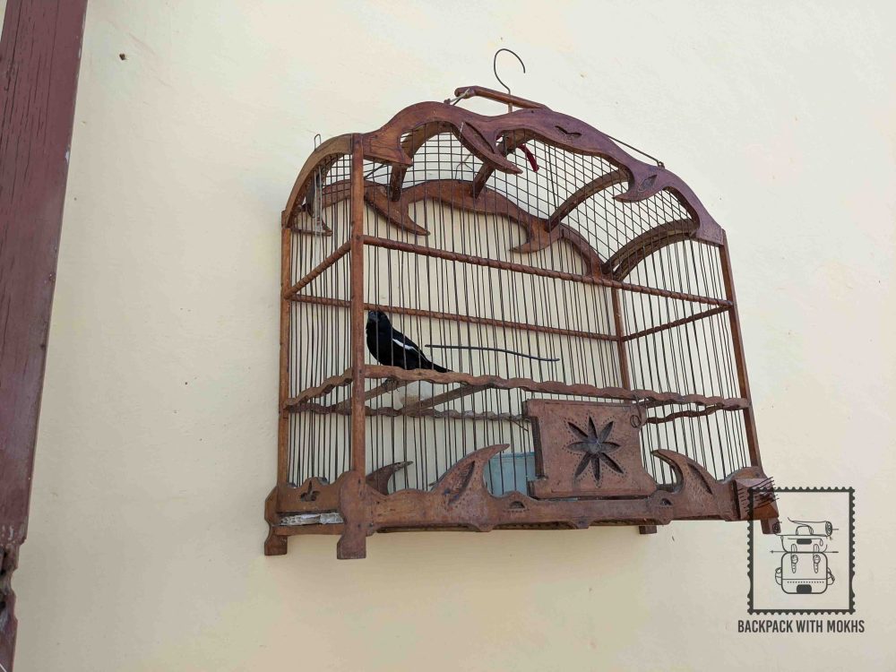 IMG_20200205_114516_1